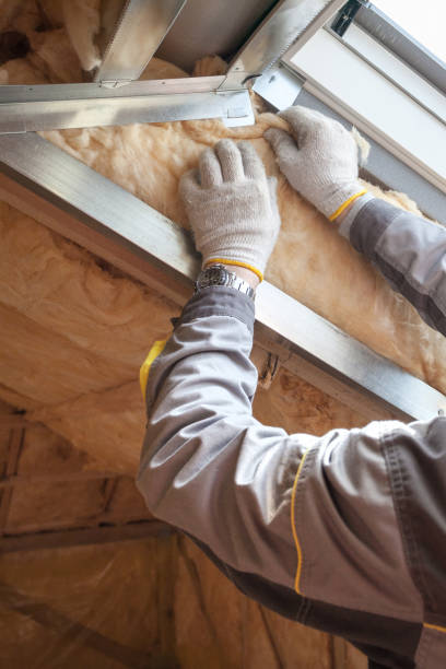 Best Insulation Maintenance and Repair in Glendale, CA