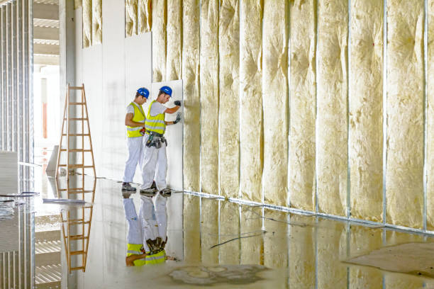 Best Geographic-Specific Insulation Services in Glendale, CA